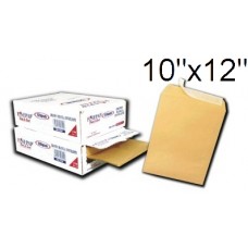 Brown Envelope BM1012 10" x12" 120gm (1x100)